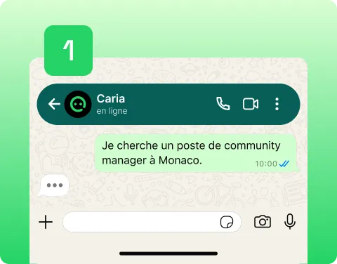 Explique à Caria ce que tu cherches sur whatsapp